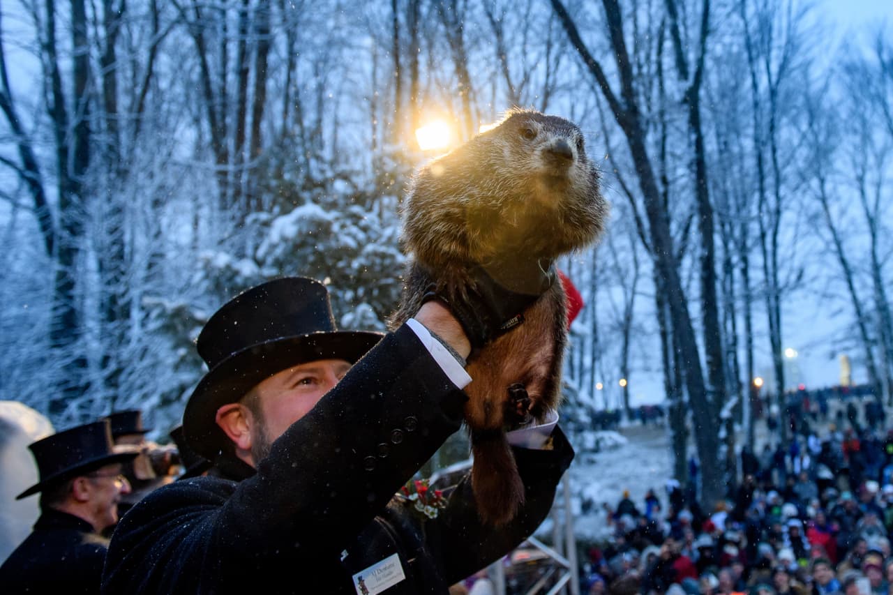 La marmota ha hablado. Habrá seis semanas más de invierno según Punxsutawney Phil, siguiendo la tradición del Día de la Marmota.