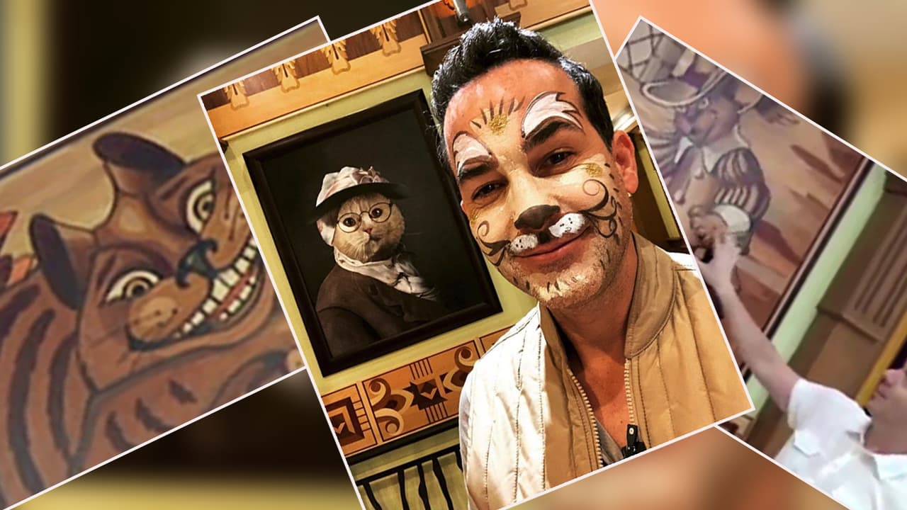 Solo para amantes de gatos: Carlos Calderón visitó la colección de estos felinos más grande del mundo