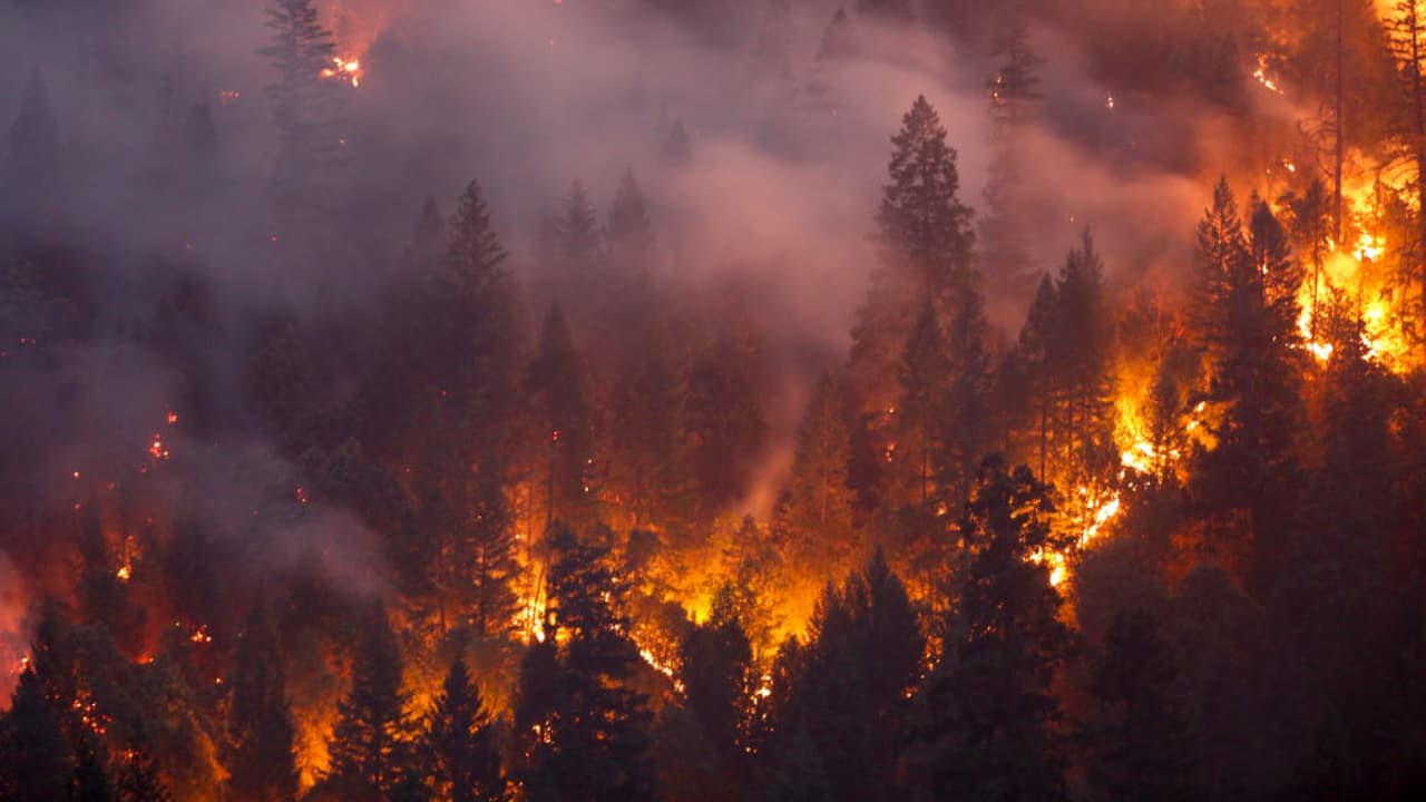 El bombero David Ortiz explica cómo los fenómenos naturales de los últimos seis años contribuyeron a que el fuego de las recientes semanas fuera intenso y complicado de socavar. Además, habla del esfuerzo físico y emocional que hacen los rescatistas al combatir un incendio, salvar vidas y proteger hogares.