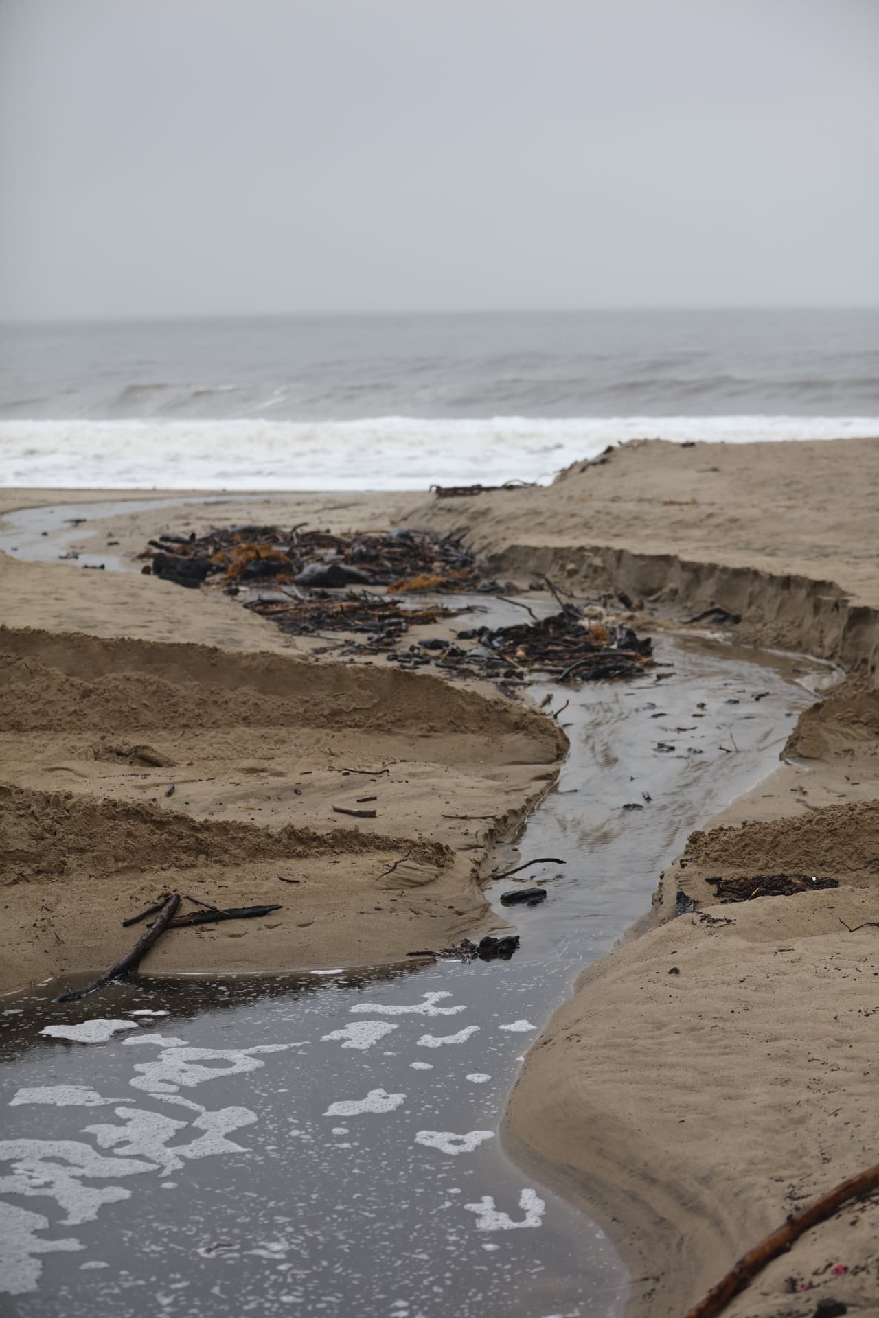 Por otra parte, después de las lluvias, las autoridades "no recomiendan entrar al agua por algunos días", debido a la contaminación por los residuos de deseague que llegan hasta el oceano.