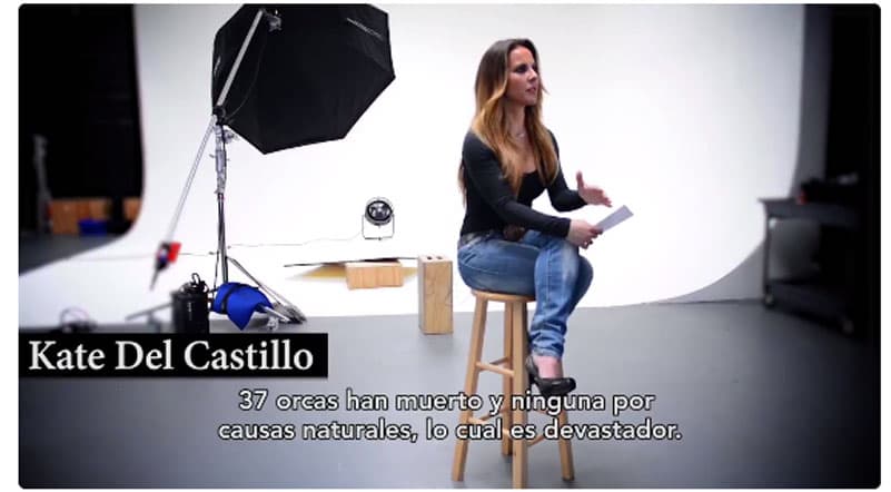 Kate del Castillo está de regreso y esta vez es la imagen de PETA Latino, para denunciar la muerte de 37 orcas por causas no naturales en Seaworld.