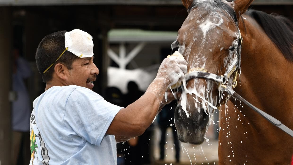 Congress gives green light for more H-2B visas this year