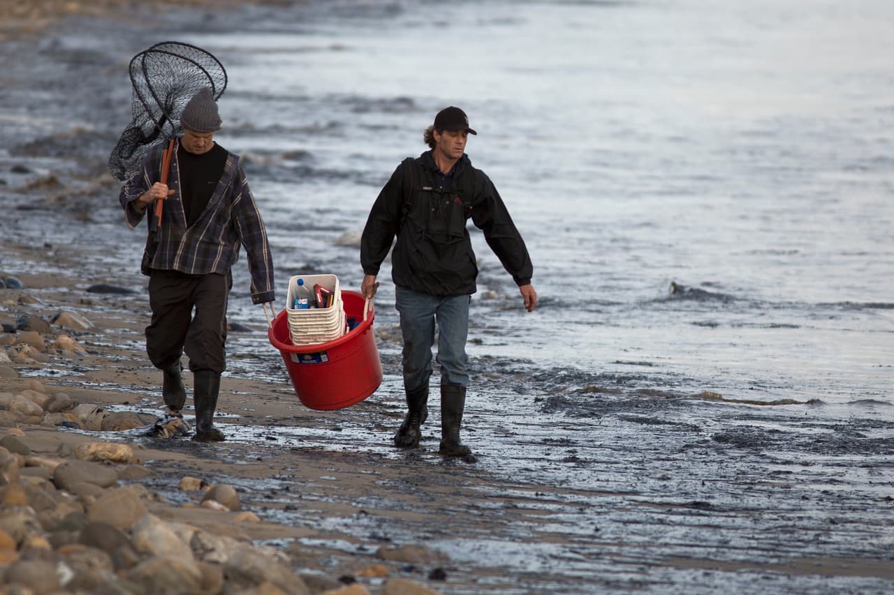 Residentes patrullaban la zona para ayudar a los animales.