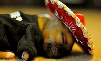 La botella de tequila más cara del mundo cuesta 3.5 millones de dólares.