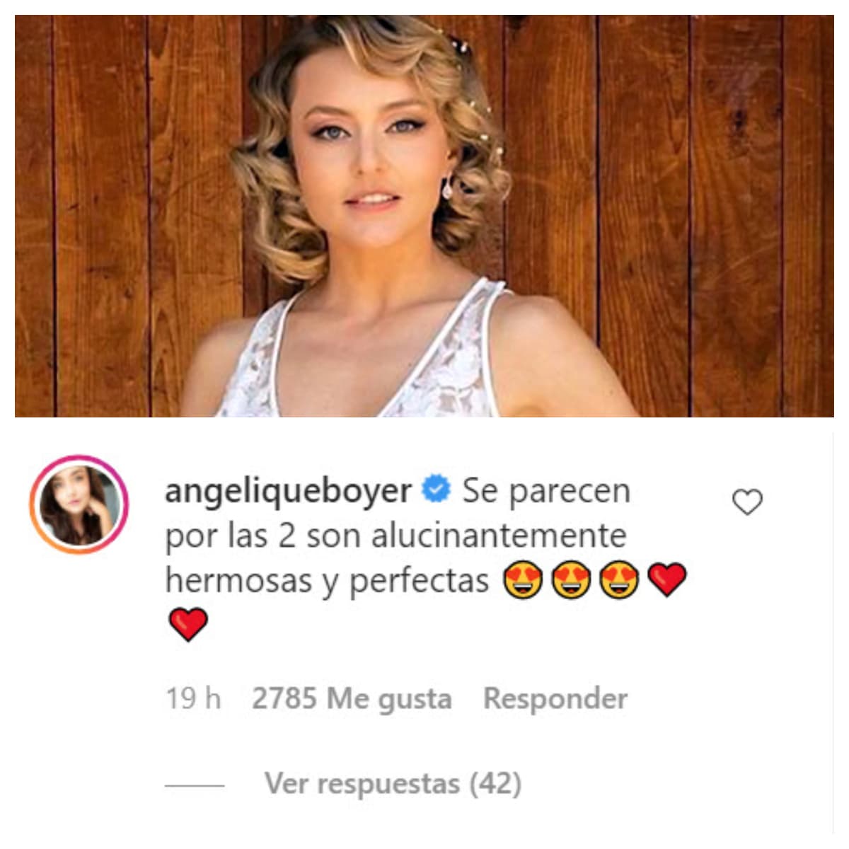 Varios famosos y amigos quedaron sorprendidos al verlas juntas. Una de ellas fue 
<b>Angelique Boyer</b>, quien destacó que el parecido que tienen es porque "son alucinadamente hermosas y perfectas". 
<br>