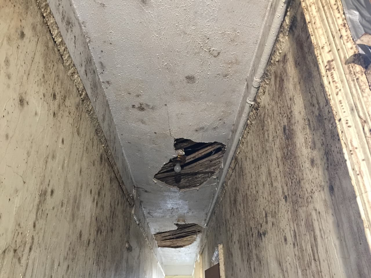 Los techos y paredes de los departamentos vacíos están destruidos.