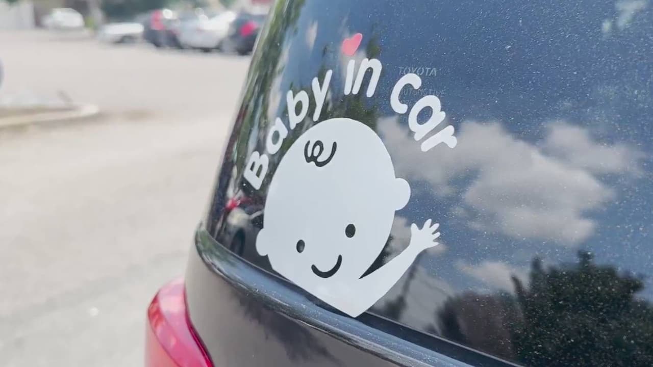 Niña de 3 años muere al ser olvidada por su madre dentro de un auto en Pensilvania