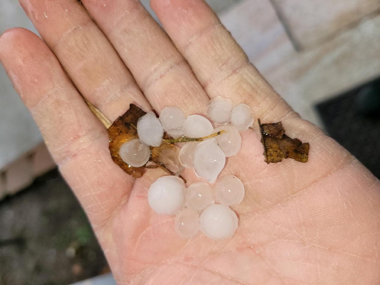 Nuestros televidentes de Noticias 23 compartieron fotografías del granizo que cayó en sus hogares.