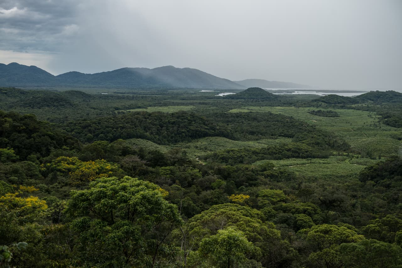 El cambio climático ahora agrava la situación del territorio remanente de este bosque ya que los eventos de clima extremo, entre lluvias torrenciales y sequías, generan inundaciones, aludes y sequías que llevan al deterioro de las tierras y sus recursos. Esto es de especial preocupación, no solo para los amantes de la naturaleza sino para aquellos que dependen económicamente del ecoturismo de la zona.