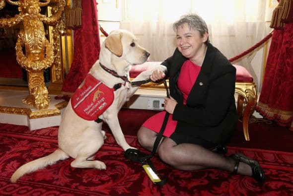 La prensa, celebridades, médicos y oncólogos que acudieron a la presentación quedaron impresionados con los resultados.
