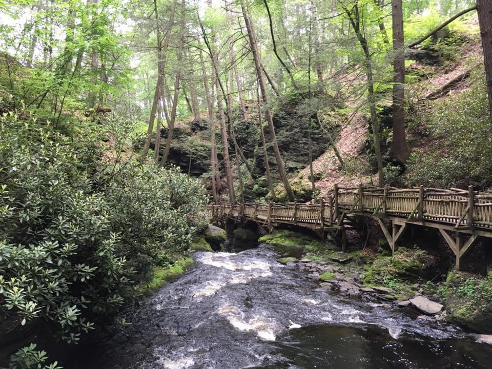 A medida que las aguas comienzan su descenso hacia el río Delaware muy por debajo, se mueven cada vez más rápido hacia Bushkill Falls, corriendo sobre Pennell Falls, luego entre paredes rocosas a través del Upper Canyon y Laurel Glen.
