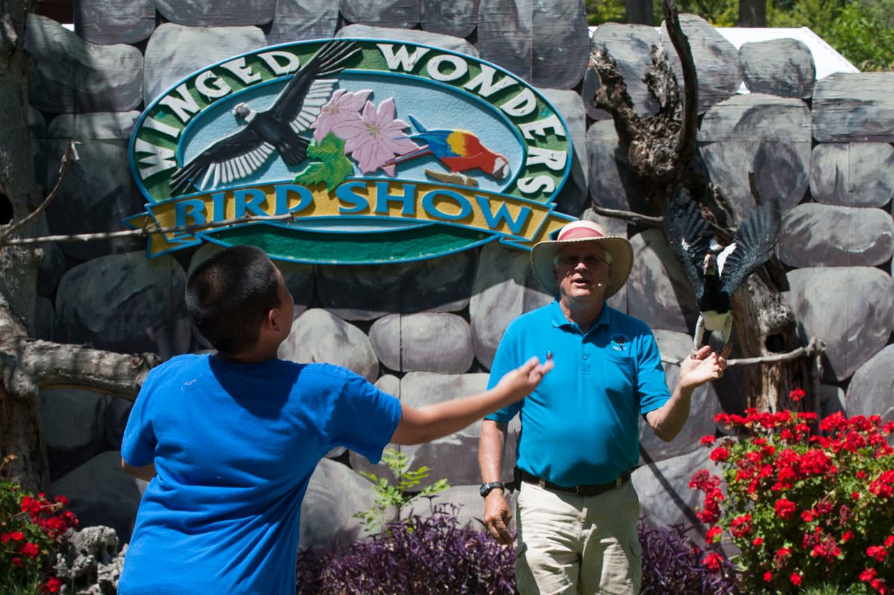 Un bello dia fue perfecto para las familias desde Bakersfield a Modesto.