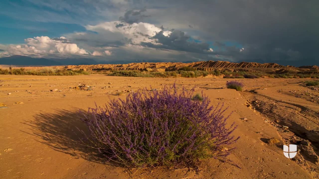 Cientos de personas arriesgan su vida cuando deciden cruzar el desierto bajo calor excesivo. Autoridades migratorias afirman que el flujo en esa área se ha incrementado y han detenido inmigrantes de 65 países.