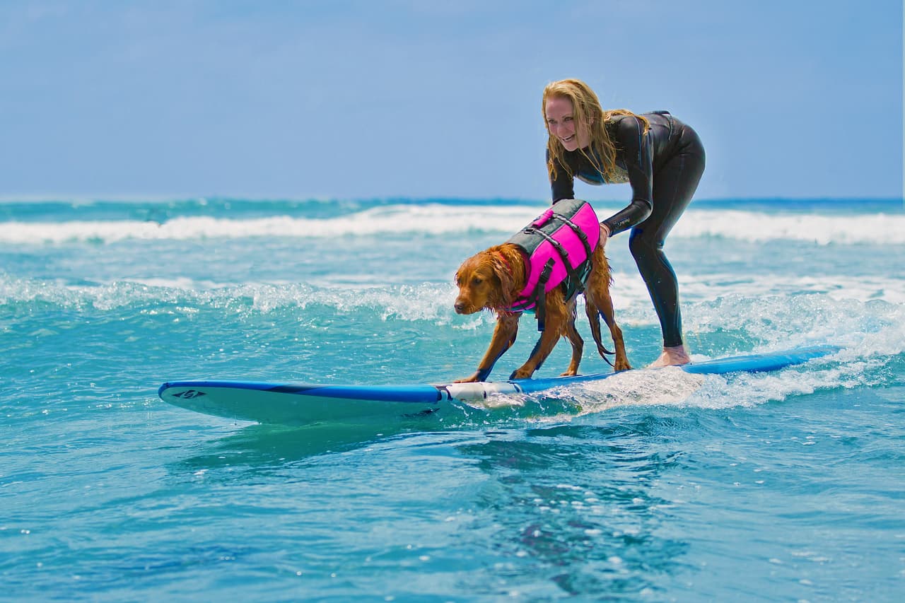 Por eso su humana, Judy Fridon, intentó buscar otra manera de hacer que Ricochet ayudara a la gente. Así que le enseñó a surfear al lado de personas, ¡y a animarlas con su alegre personalidad!