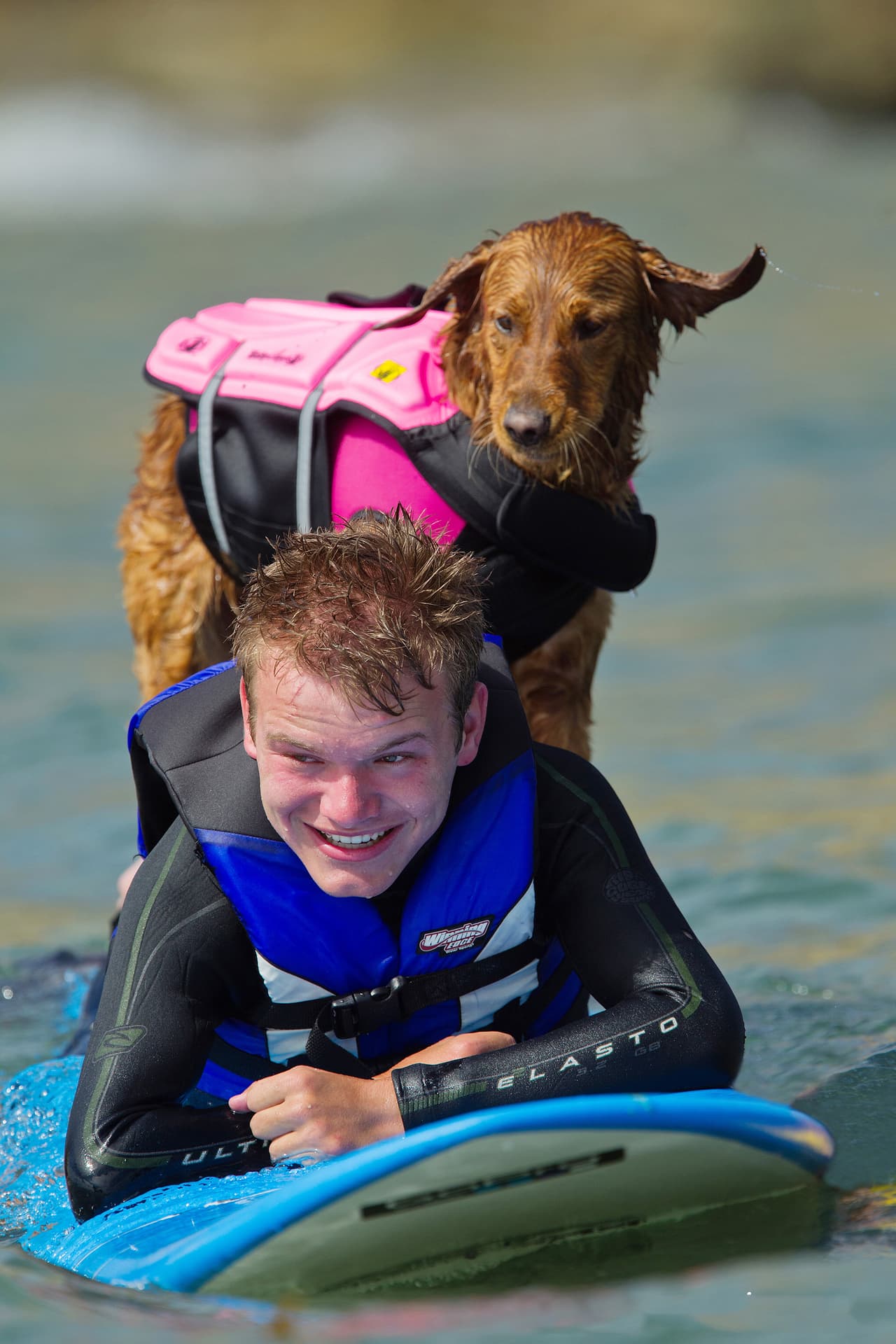 ¡No paraba de perseguir aves en las playas!