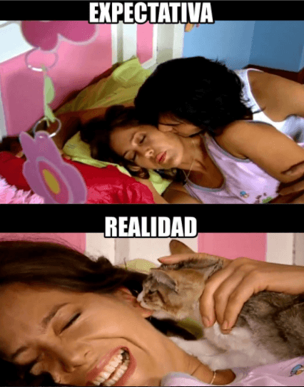 Bien dicen por ahí que soñar no cuesta nada, ¿alguna vez has tenido un sueño como el de María de Todos los Ángeles?