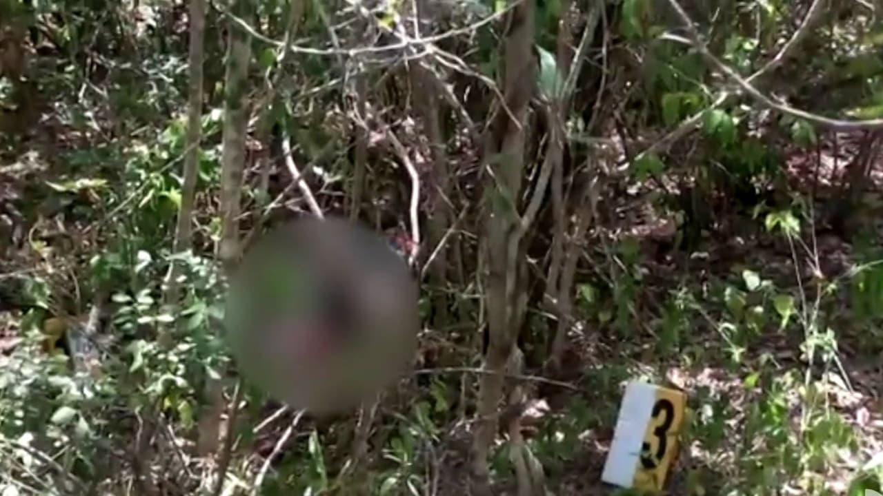 Hallan sin vida a una maestra desaparecida en República Dominicana: Una integrante de su familia está bajo sospecha
