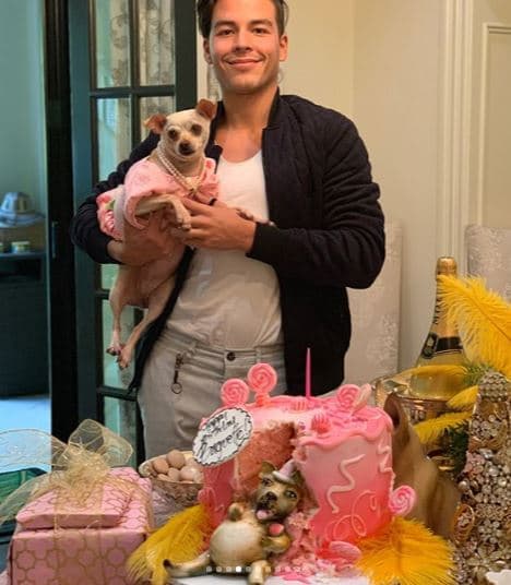 De acuerdo con información de El Universal, Baguette llegó a la familia de la actriz luego de que Manolo González, su hijo, perdiera a su anterior mascota en un accidente.