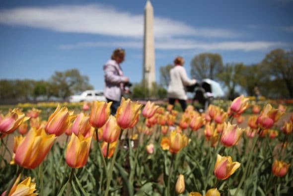 También es regente del Smithsonian Institution y es presidente de la junta directiva del Kennedy Center.
