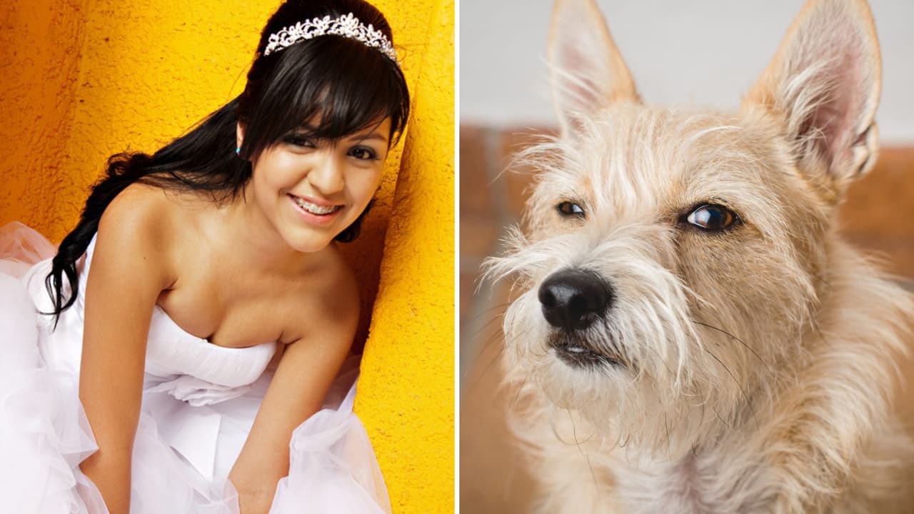 Perrito orina el vestido a quinceañera durante su vals: incómodo momento se hace viral