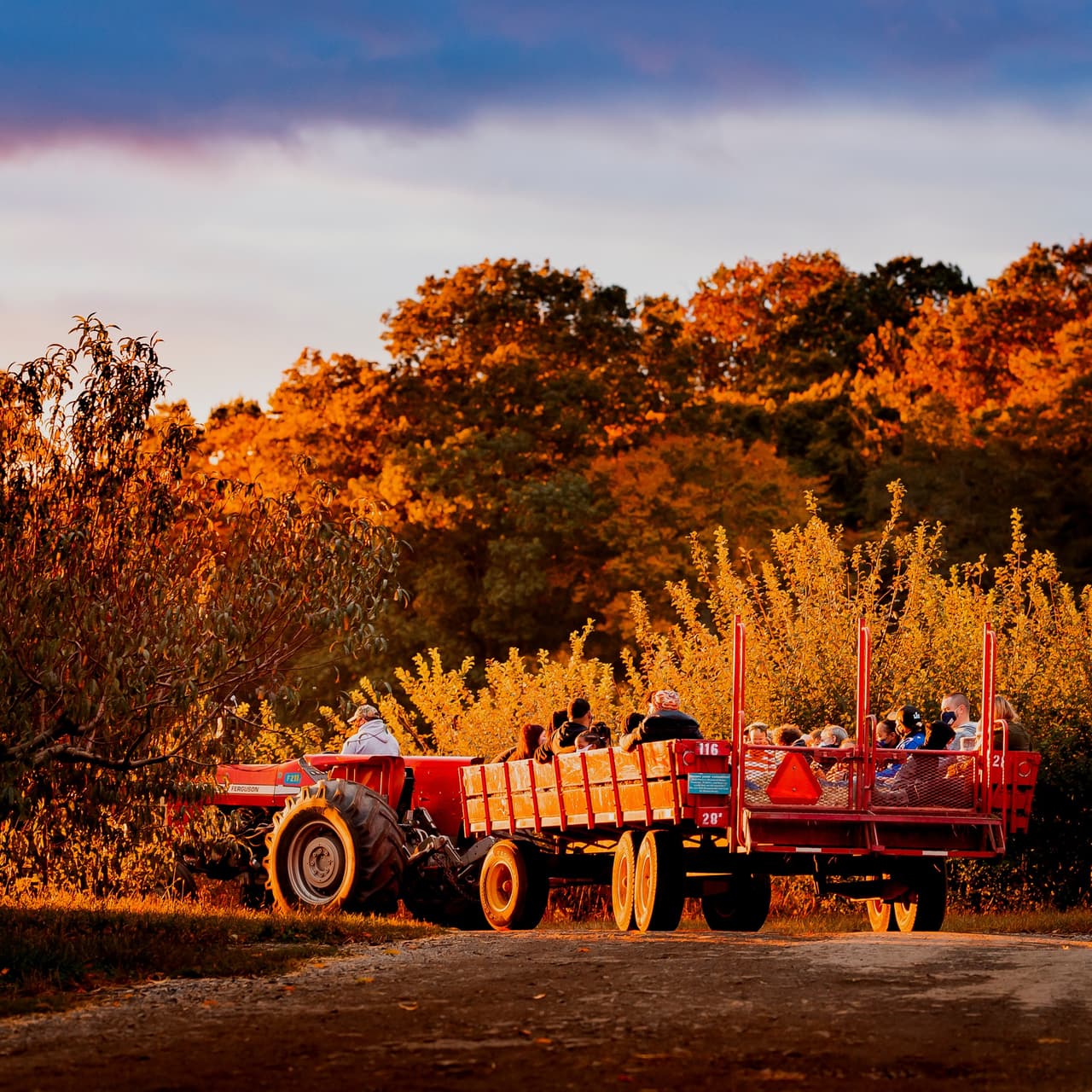 <b>Linvilla Orchards </b>
<br>Dirección: 137 W Knowlton Rd, Media, PA. 19063
<br>Teléfono: 610-876-7116 
<br>Sitio web: 
<a href="https://www.linvilla.com/">https://www.linvilla.com/</a> 
<br>
<b><a href="https://goo.gl/maps/yBNUKC63ePdZBL3L7?coh=178573&entry=tt">Cómo llegar</a></b>
<br>
<br>La granja cultiva y procesa productos agrícolas y vende una amplia gama de opciones frescas y especialidades gourmet. Disfruta de sus exclusivos pasteles, salsas caseras, guacamole, y mucho más. En primavera también ofrecen actividades para la familia como tours y paseos en pony.