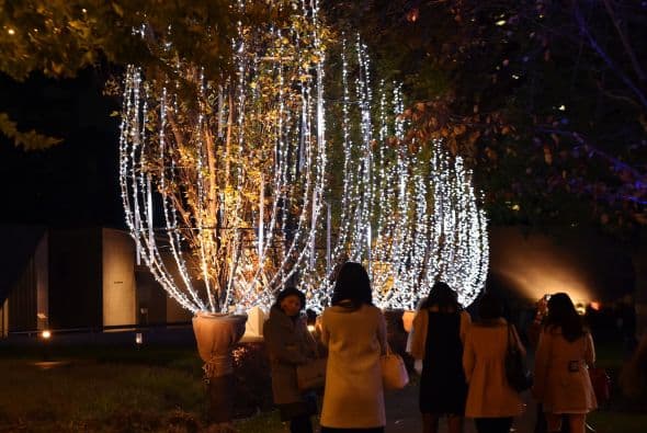 La navidad se siente con miles de luces sobre sobre tu cabeza.