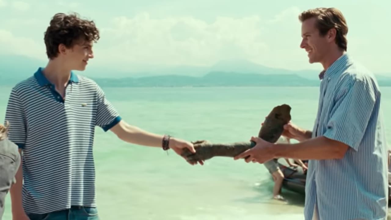 Timothée Chalamet y Armie Hammer estelarizan 'Call Me By Your Name'.