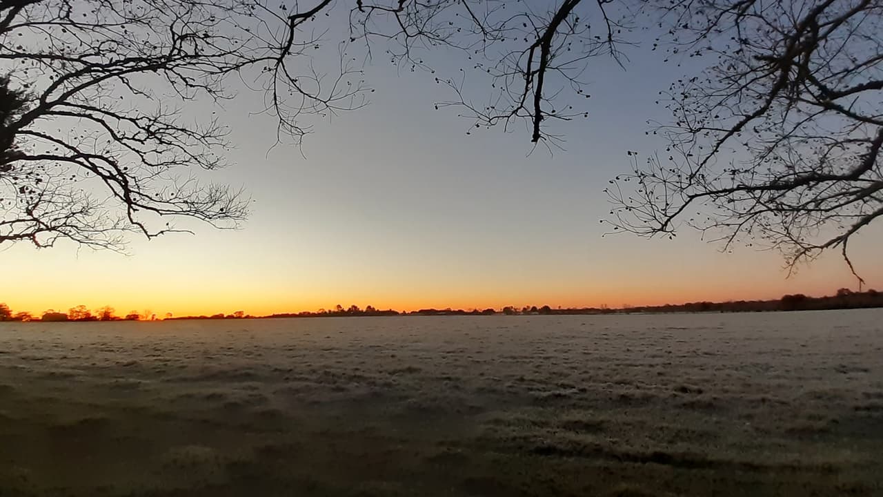 "Bendecido día desde Waller, TX, así amanecimos 30° F": Lucy Gaju