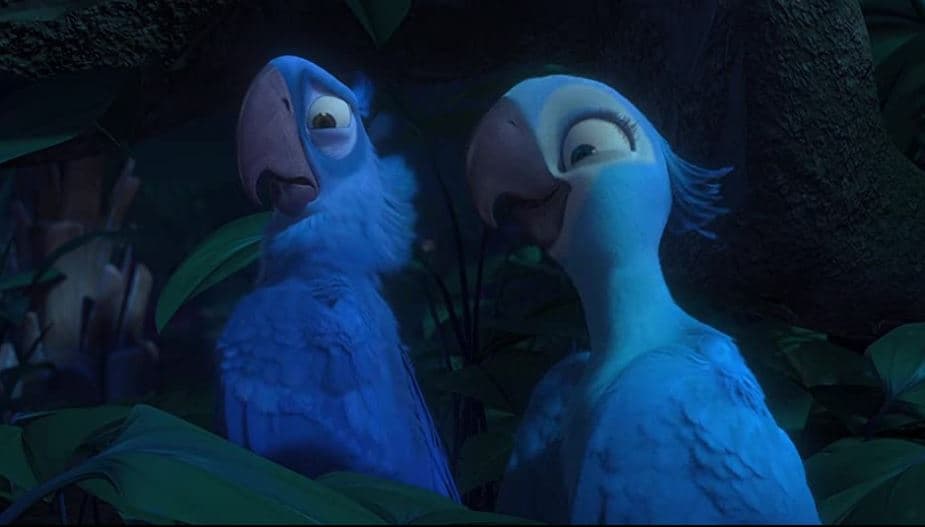 Nace un Guacamayo azul que salva a su especie oficialmente declarada extinta 