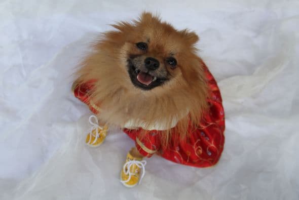 ¡Qué tal este modelito rojo con todo y los zapatitos que le dan ese toque elegante!