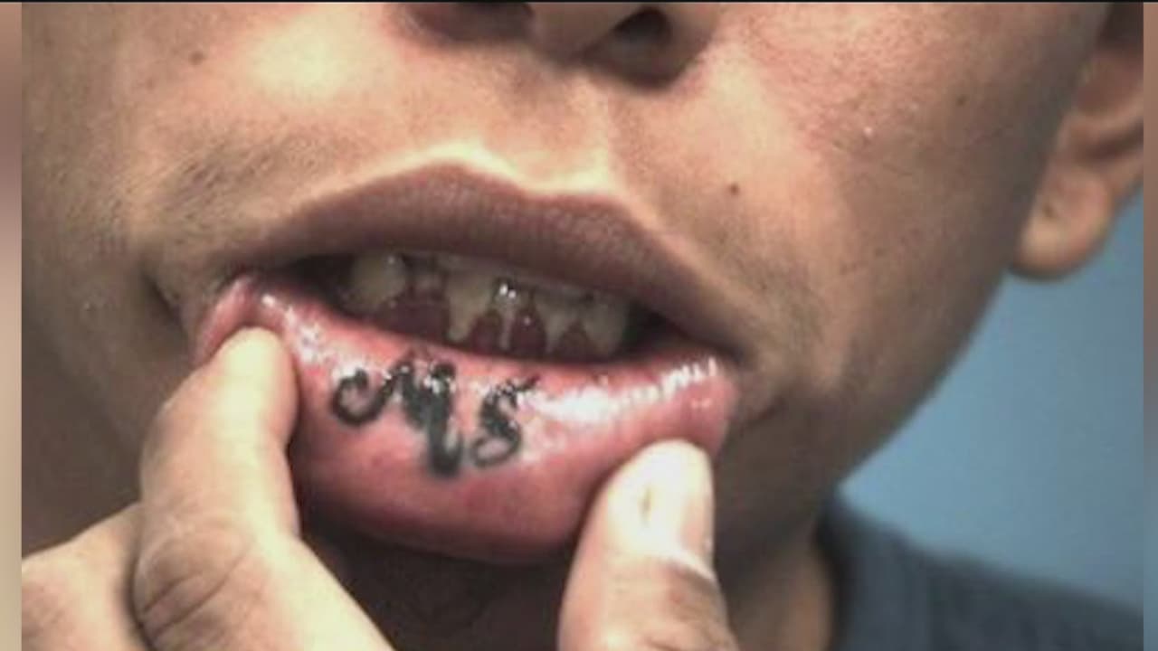 Arrestan en Texas a dos pandilleros de la MS-13 buscados por intento de asesinato