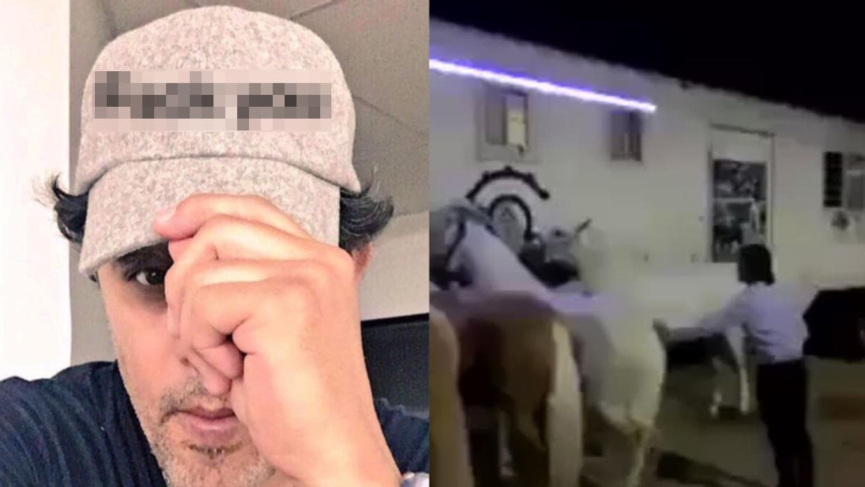 Un caballo es golpeado con una cadena por el rejoneador Emiliano Gamero y el actor Raul Julia-Levy contraataca