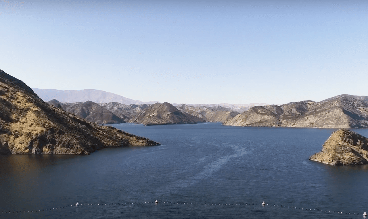 Los perros tienden a lamer su pelaje después, lo que aumenta su riesgo de exposición y enfermedad.