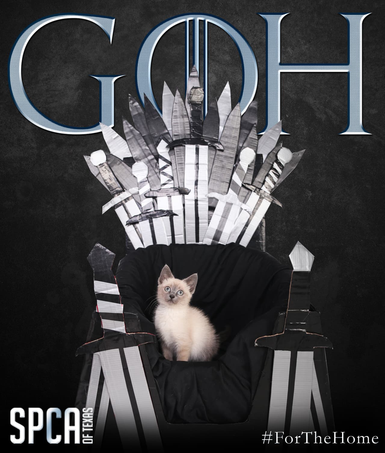 Hay docenas de animales disponibles para adopción en los albergues. Las dirreciones de los refugios: 2400 Lone Star Drive y el segundo en McKinney en la cuadra 8411 Stacy Road. 
<br>Los horarios de los refugios son desde el mediodía hasta las 6 p.m. De domingo a miércoles y de mediodía a 7 p.m. Jueves a sábado.
<br>