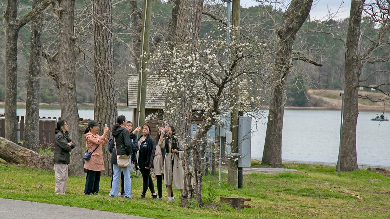 El parque está abierto al público todos los días.