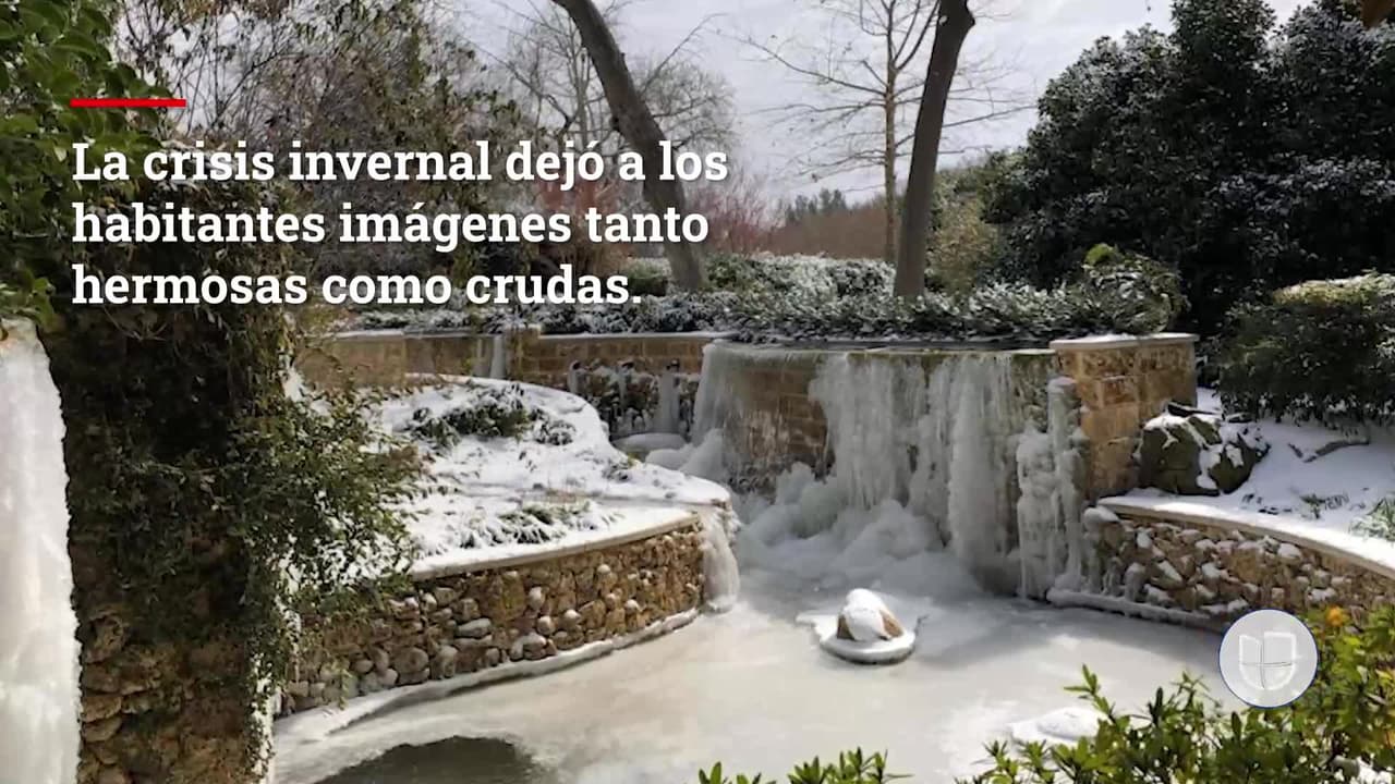 La tormenta invernal causó sufrimiento y dejó destrucción en muchas comunidades del norte de Texas que siguen luchando por recuperarse. Estas imágenes muestran la crudeza de una helada histórica.