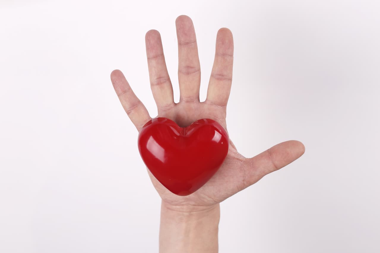 Los padecimientos de índole renal están recibiendo una buena vibración cósmica que favorecerá notablemente la recuperación de tu salud en este último mes de año 2015. Sigue tus intuiciones y si te invitan a participar en un crucero o casino acepta la invitación.