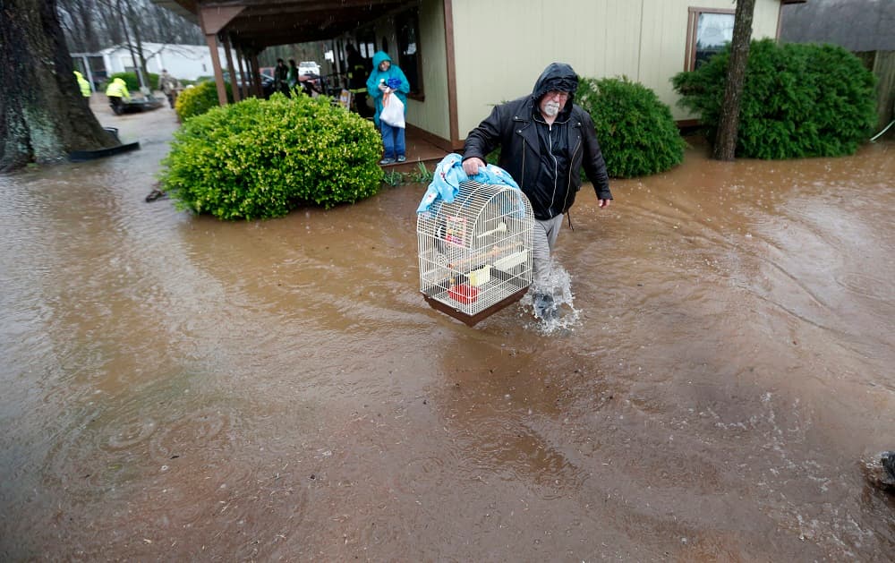 Robert Payne ayuda a un residente de Bossier City a trasladar una cacatúa por las fuertes lluvias.
