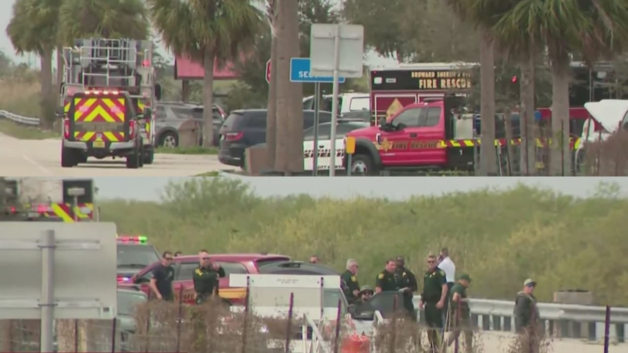 Avioneta se estrella en los Everglades de Florida, dos cuerpos han sido rescatados
