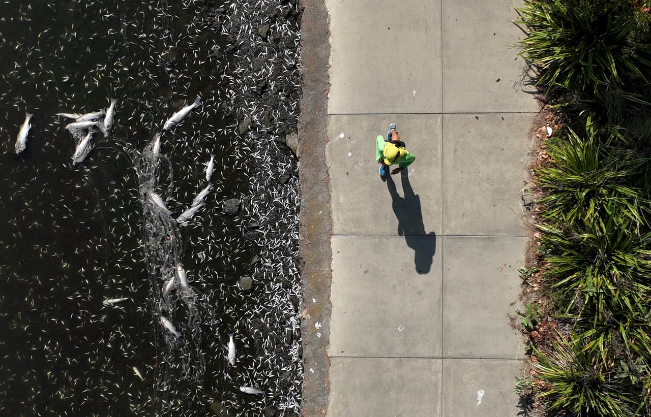 Esto se debe a que el clima cálido se vuelve más caliente al acercarse el fin de semana del Día del Trabajo, según los expertos.