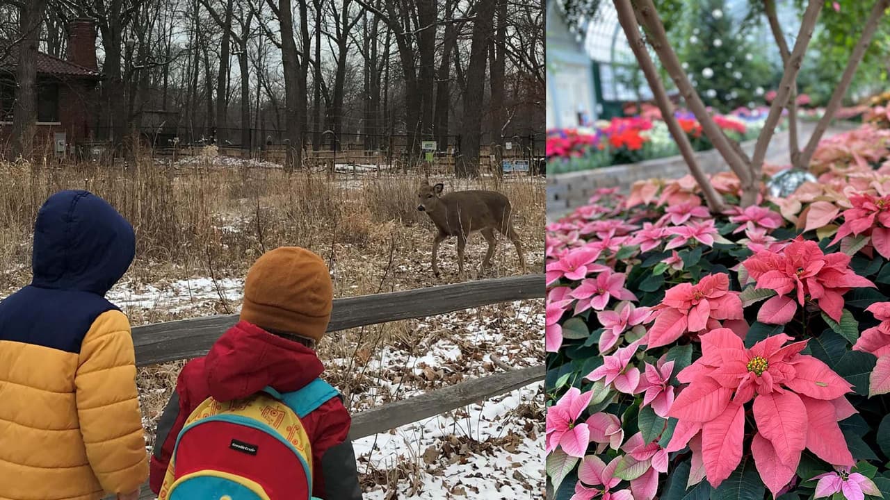 Celebra la temporada navideña en parques de Chicago