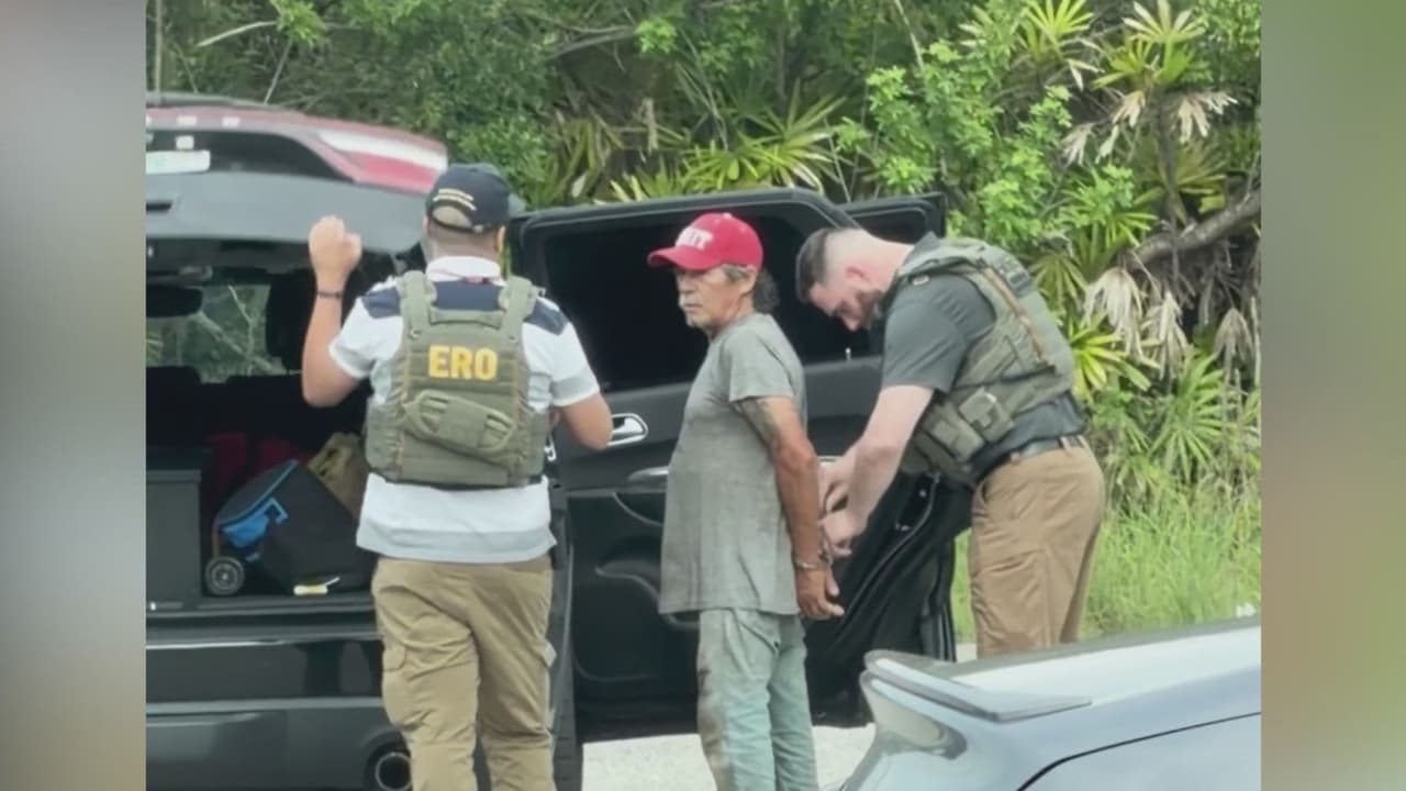 Arresto por agentes de ICE frente a una biblioteca genera temor en la comunidad inmigrante local