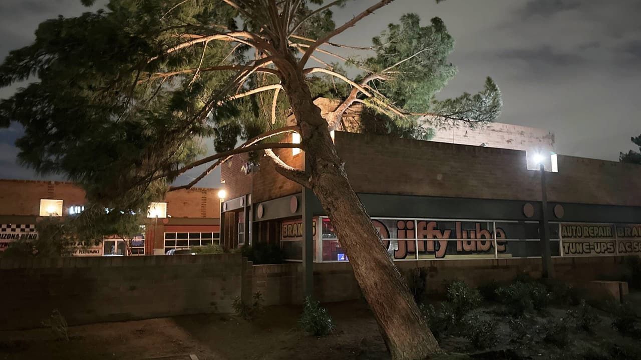 Daños, cortes a la electricidad y retrasos en vuelos: Lo que dejaron las precipitaciones en Arizona