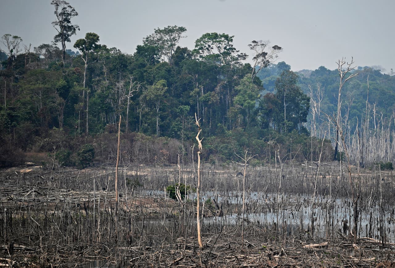 El Amazonas es el hogar de más de 20 millones de sus 210 millones de habitantes. 
<b>Los datos oficiales del Instituto Nacional de Investigaciones Espaciales (INPE) mostraban este sábado que entre el jueves y el viernes se declararon en Brasil un total de 1,663 incendios.</b>