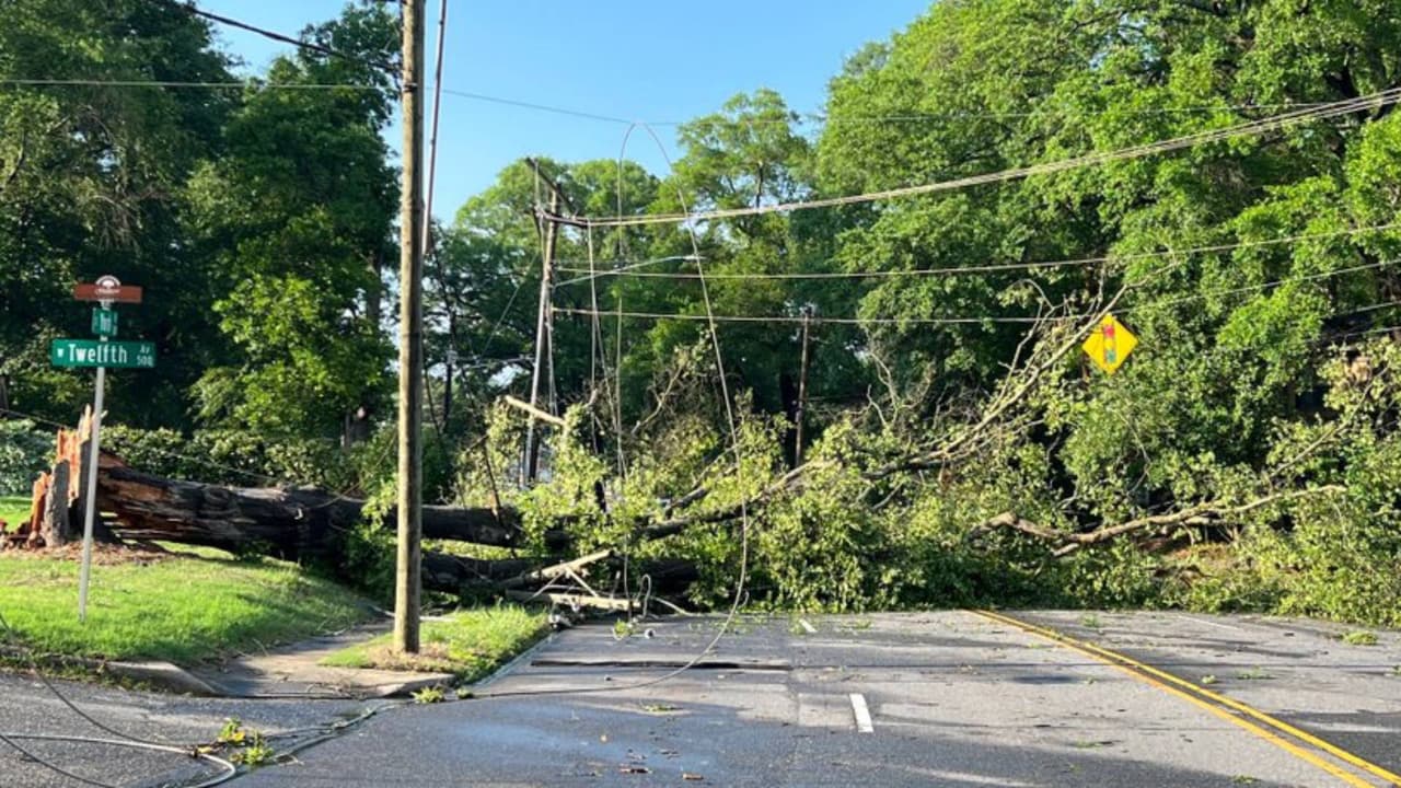 Murió una mujer cuando un árbol cayó en el vehículo que conducía en el condado de Gaston