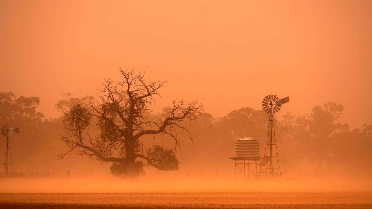 Si se encuentra con una tormenta de polvo mientras conduce, 
<b>salga de la carretera inmediatamente,</b> apague las luces delanteras y traseras, ponga su vehículo en "PARK" y retire el pie del freno. Permanezca en el vehículo con los cinturones de seguridad abrochados y espere a que pase la tormenta.