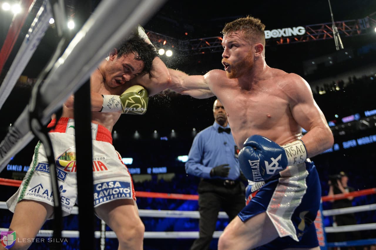 Te acercamos a los golpes que se dieron Saúl 'Canelo' Álvarez en contra de Julio César Chávez Jr., imágenes que te harán sentir en el ring.