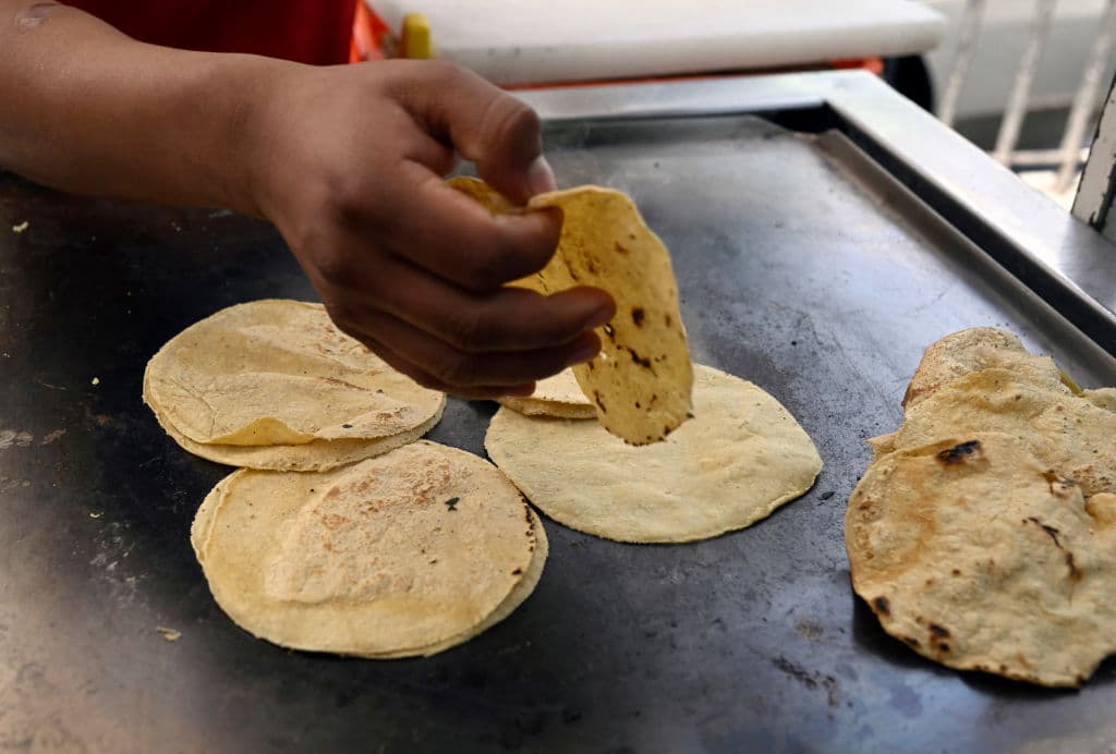 Taquero calentando tortillas.