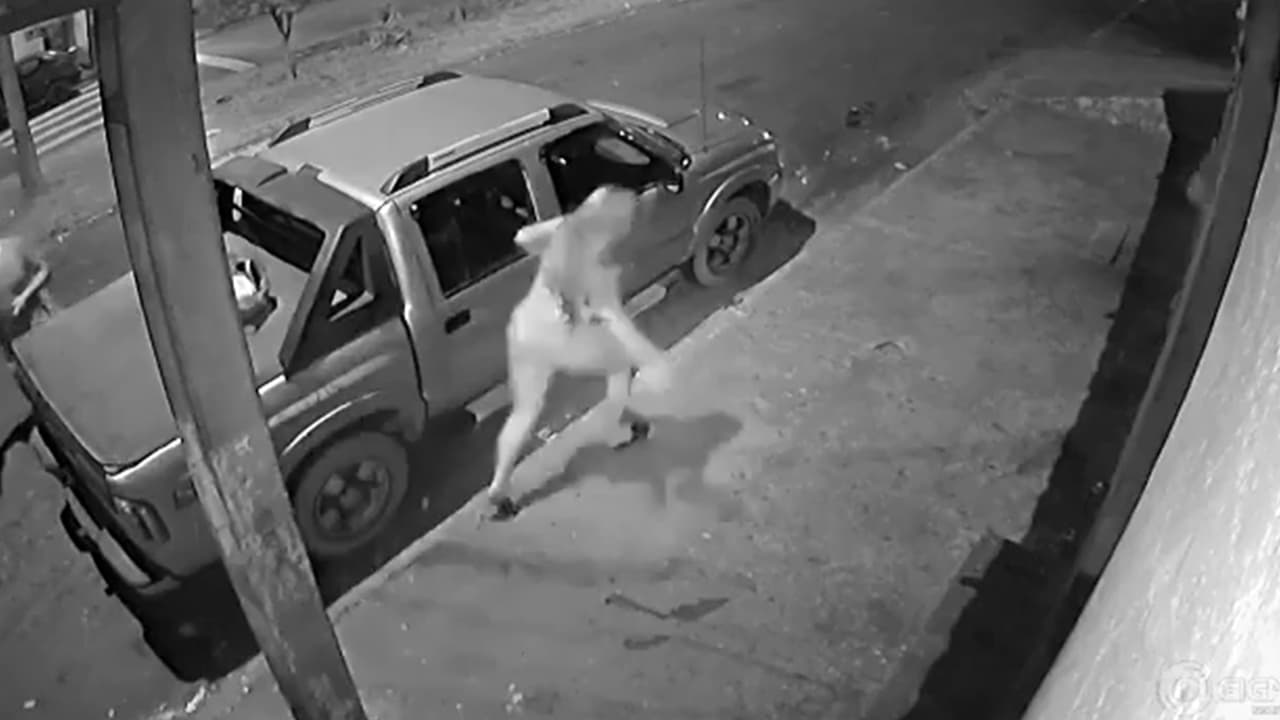 Video Imágenes Fuertes: Su marido la apuñala al descubrirla con el amante y este la abandona en la acera hasta morir