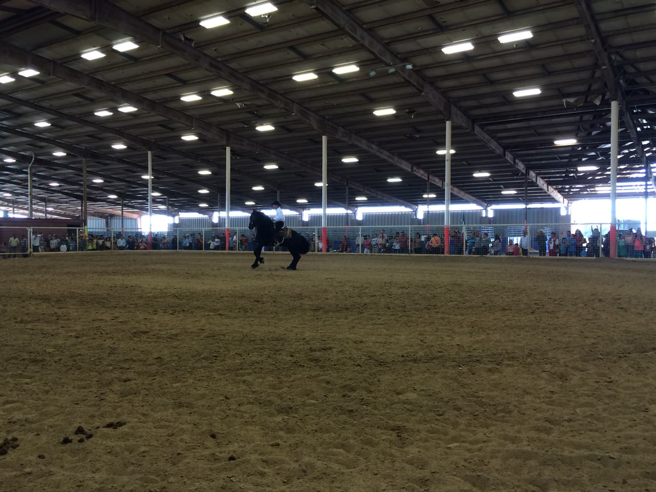 Univision convivió con la comunidad desde el Travis County Expo Center para celebrar las Fiestas Patrias.